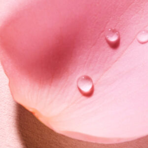Very Rose - Eau Voluptueuse Parfumante 100 ml - Image 4