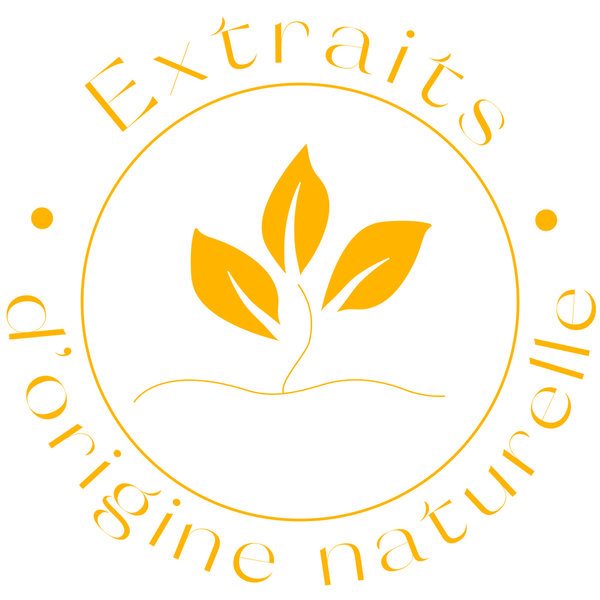 Bois d'Orange Crème Mains Bienfaisante 30ml – Image 2