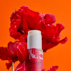 Gingembre Rouge Parfum Solide Bienfaisant 5g - Image 3