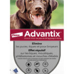 Advantix Chien – Anti-Puces et Anti-Tiques Pour Grand Chien de 25 à 40KG – 4 Pipettes