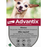 Advantix Chien – Anti-Puces et Anti-Tiques Pour Très Petit Chien de 1,5 à 4KG – 4 Pipettes