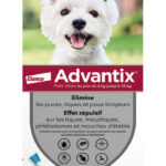 Advantix Chien – Anti-Puces et Anti-Tiques Pour Petit Chien de 4 à 10KG – 4 Pipettes
