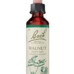 Fleurs de Bach® Original Walnut 20 ml