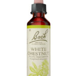 Fleurs de Bach® Original White Chestnut 20 ml