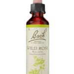 Fleurs de Bach® Original Wild Rose 20 ml