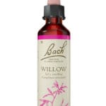 Fleurs de Bach® Original Willow 20 ml