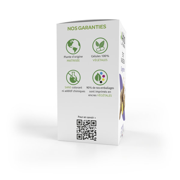 Arkopharma Arkogélules Dynamisme Gingembre Bio 40 gélules – Image 4