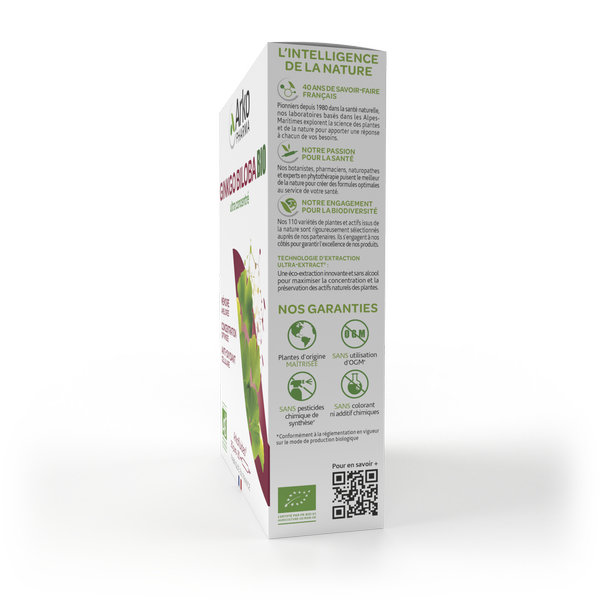 Arkopharma Arkofluides Ginkgo Biloba Mémoire Concentration 20 ampoules – Image 4