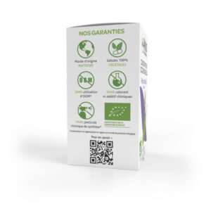 Arkopharma Arkogélules Transit Ispaghul Mucivital Bio 45 gélules - Image 3
