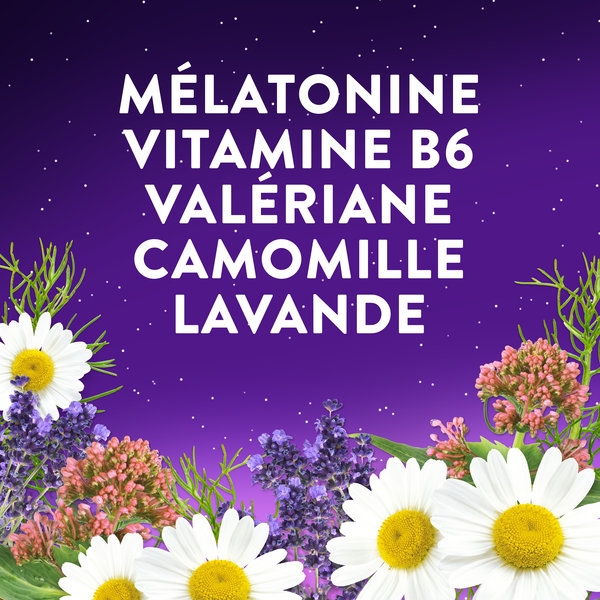 ZzzQuil Doux - Gommes arôme naturel fruits des bois - Complément alimentaire à base de valériane, camomille, lavande, vitamine B6 et de mélatonine - 30 gommes – Image 9