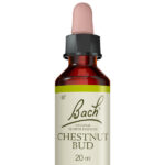 Fleurs de Bach® Original Chestnut Bud 20 ml