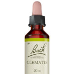 Fleurs de Bach® Original Clematis 20 ml