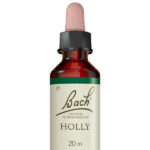 Fleurs de Bach® Original Holly 20 ml
