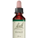 Fleurs de Bach® Original Holly 20 ml