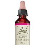Fleurs de Bach® Original Sweet Chestnut 20 ml