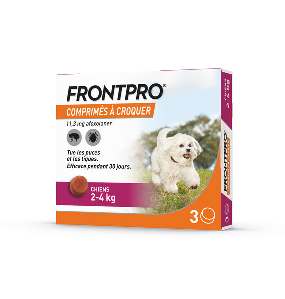 frontpro chien, frontpro chien avis