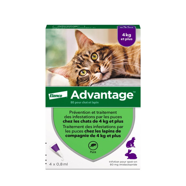 advantage chat, advantage chats, pipette advantage chat