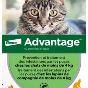 advantge chat, advantage chats, pipette advantage chat
