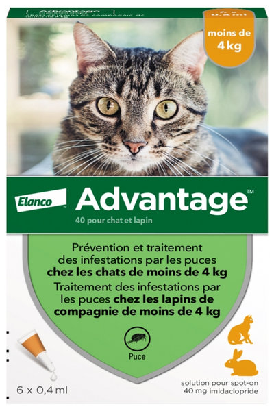 advantge chat, advantage chats, pipette advantage chat