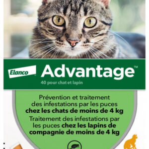 advantage chat, advantage chats, pipette advantage chat