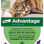Advantage Chat – Anti-Puces Pour Chats De 4KG Et Plus - 6 Pipettes