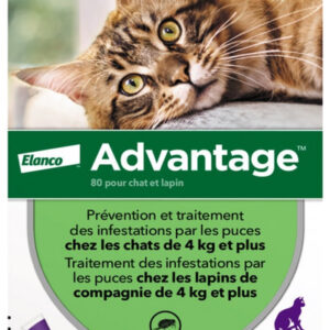 advantage chat, advantage chats, pipette advantage chat