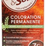 Color & Soin Coloration Permanente - Coloration : Blond Terre Cuivré : 7C