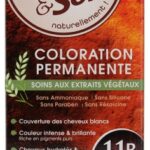 Color & Soin Coloration Permanente - Coloration : Rouge Myrtille : 11R