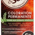 Color & Soin Coloration Permanente - Coloration : Marron Cacao : 6B
