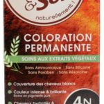 Color & Soin Coloration Permanente - Coloration : Châtain Naturel : 4N