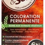 Color & Soin Coloration Permanente - Coloration : Blond Foncé : 6N