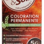 Color & Soin Coloration Permanente - Coloration : Châtain Clair Doré : 5G