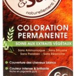 Color & Soin Coloration Permanente - Coloration : Blond Foncé Doré : 6G