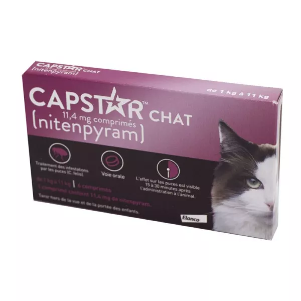 capstar chat, capstar pour chat, capstar nitenpyram​