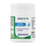Ergyzym 40 Gélules
