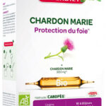 Chardon marie bio digestion 20x15ml