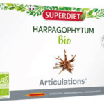 Harpagophytum bio 20x15ml