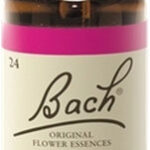 Fleurs de Bach® Original Pine 20 ml