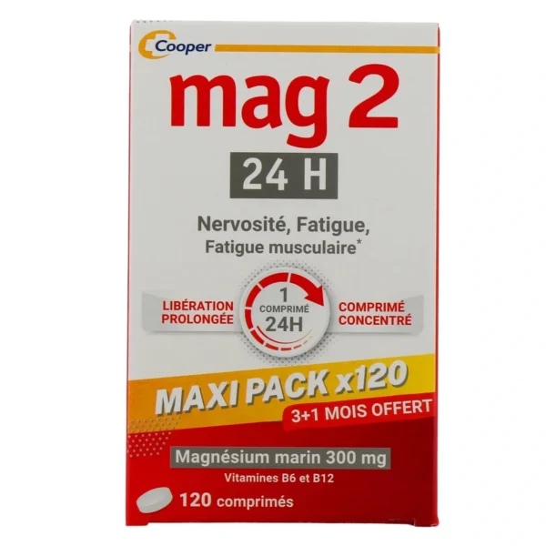 Mag 2 24h Comprimés maxi pack 120