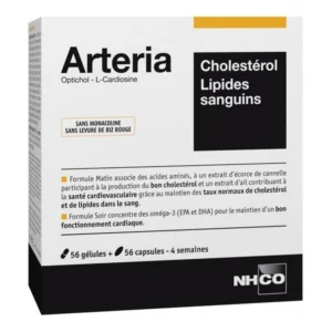 NHCO Arteria